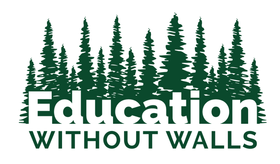 Education Without Walls